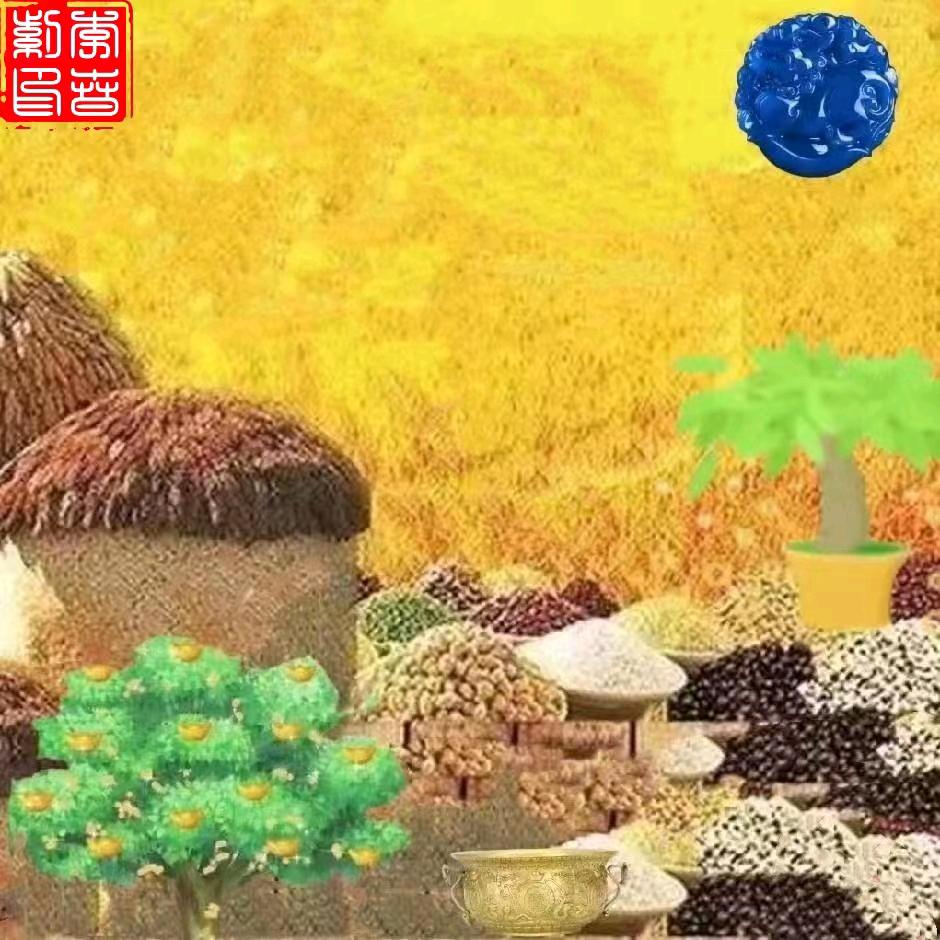 春子老师