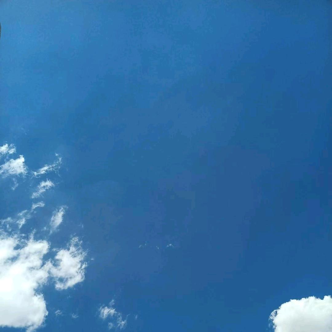 🍀姚家二小姐