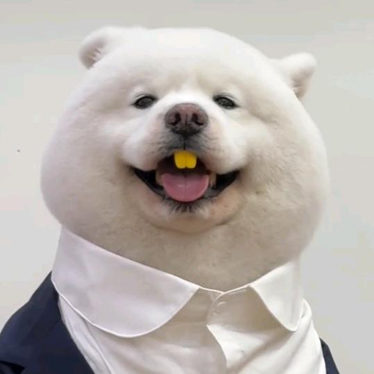 流水无情潮到空城头尽白