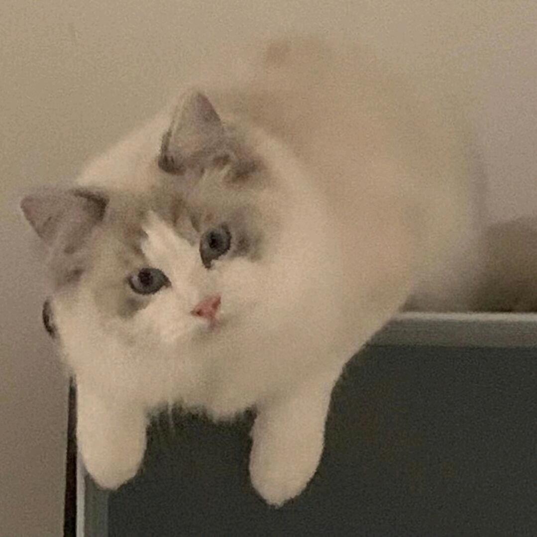 好心情