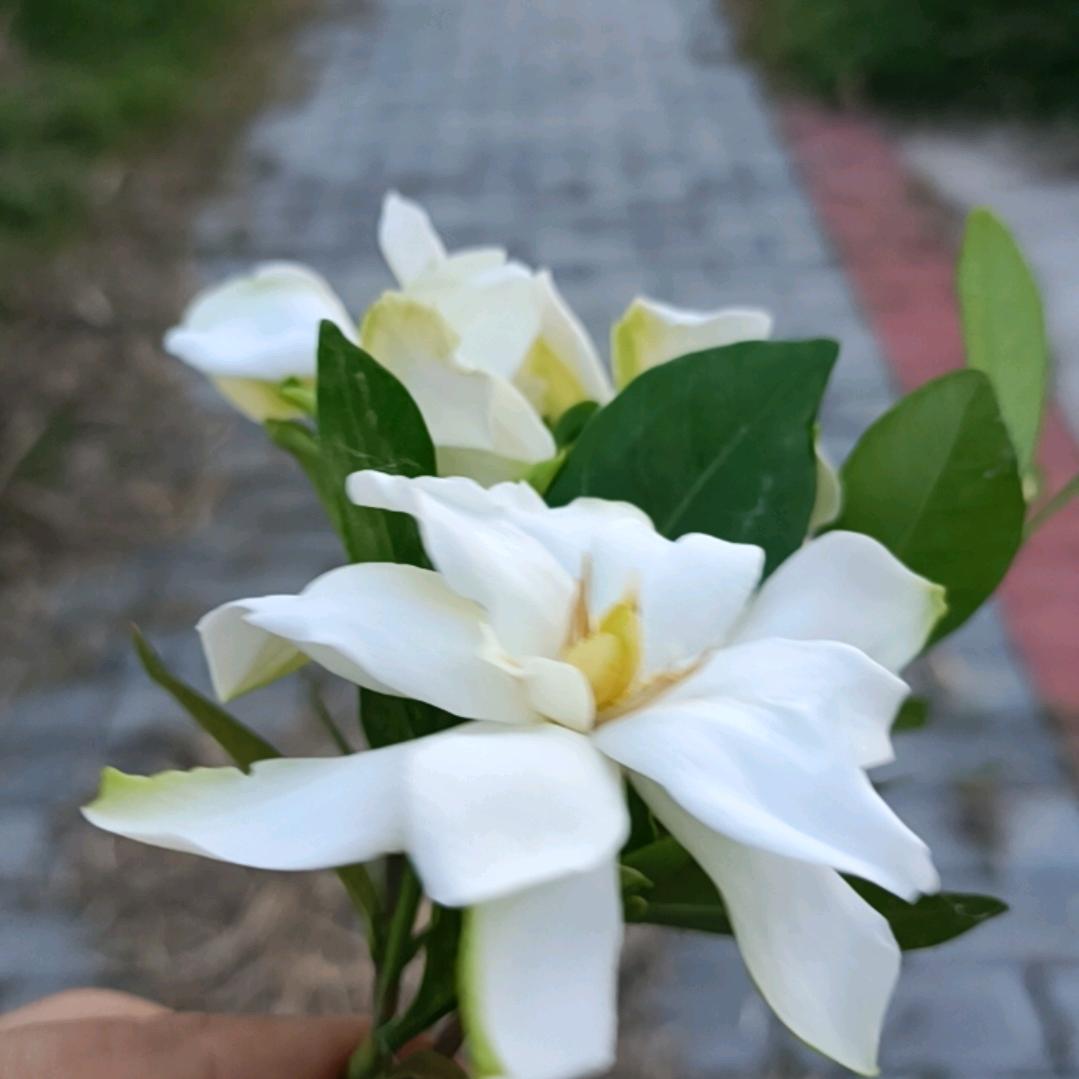 如梦初醒