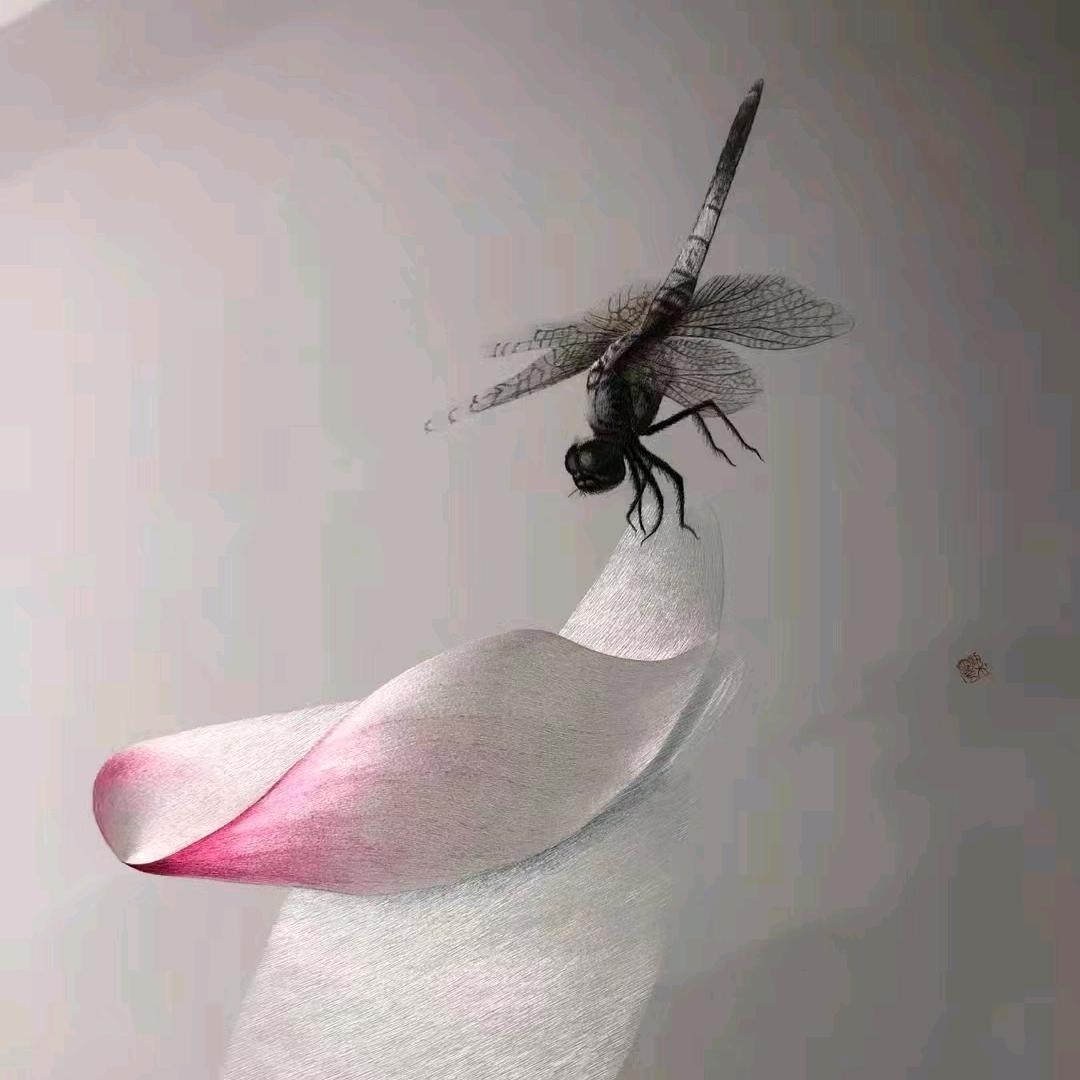 绣郞涛哥（有网课）