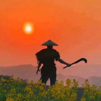 +随风