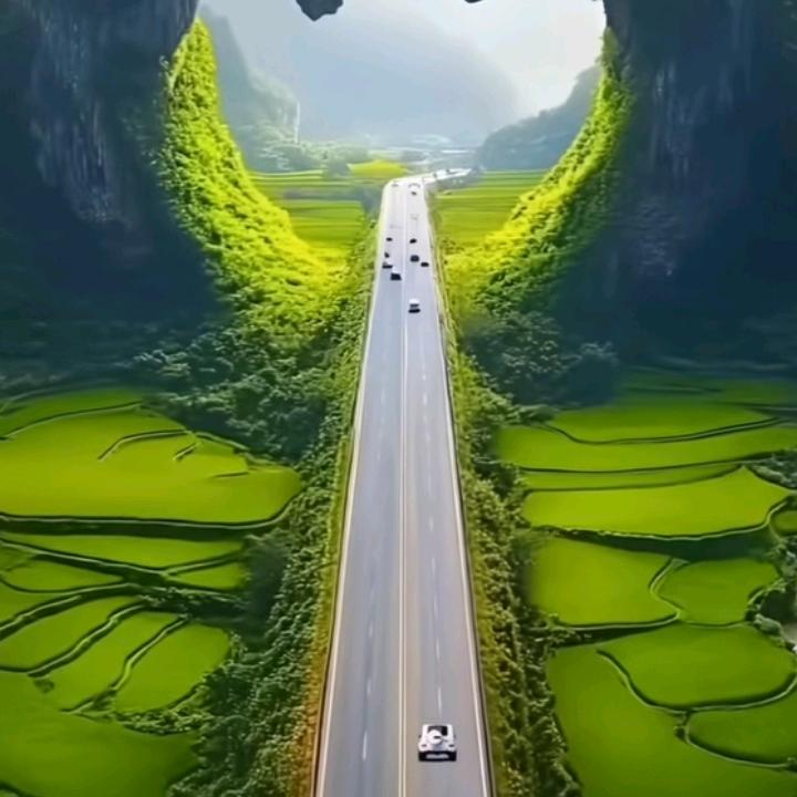 自由人