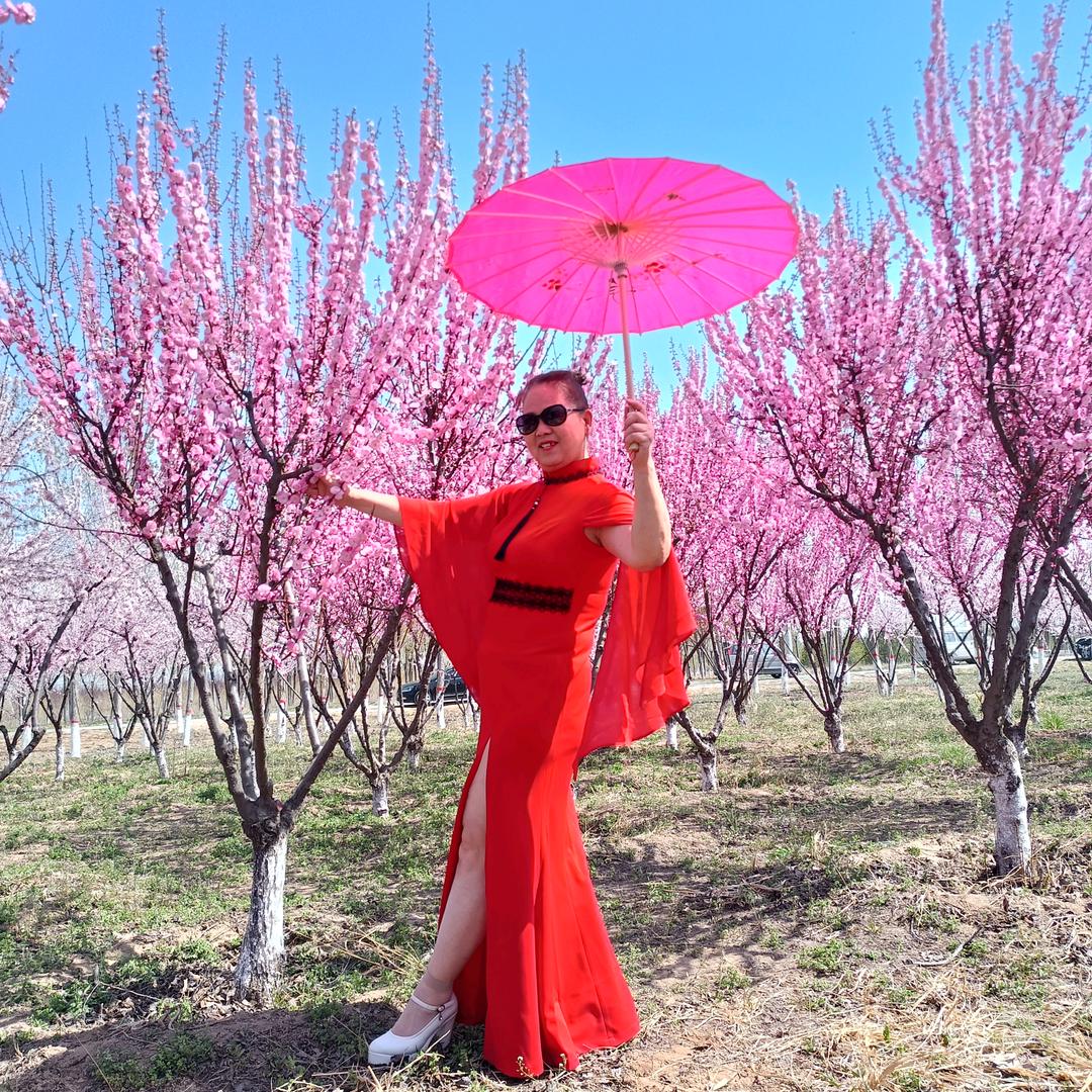 悠然自得《好好购物》