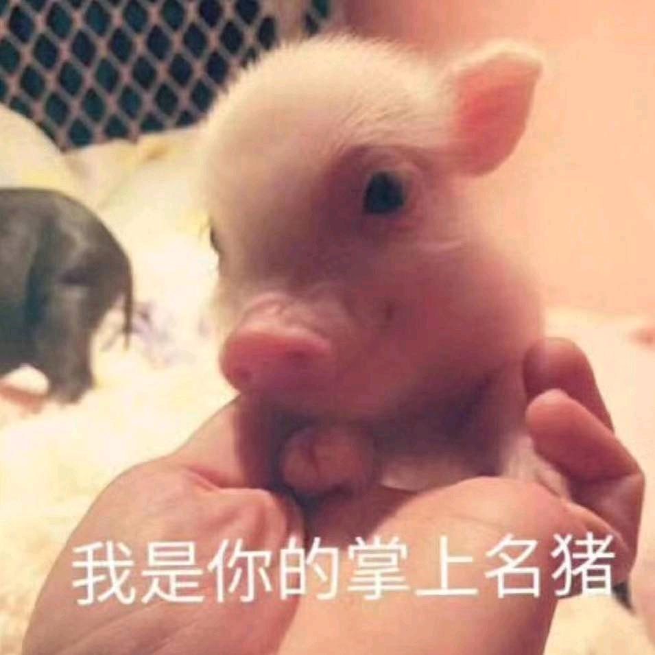小李要努力！