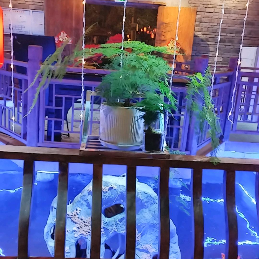 迎客松仙鱼莊（广元店）