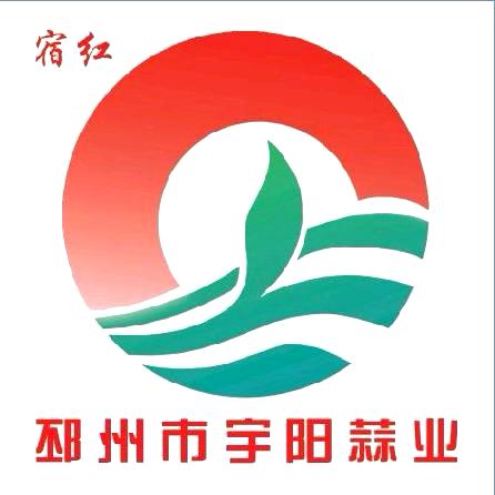 邳州净蒜【宇阳商贸】