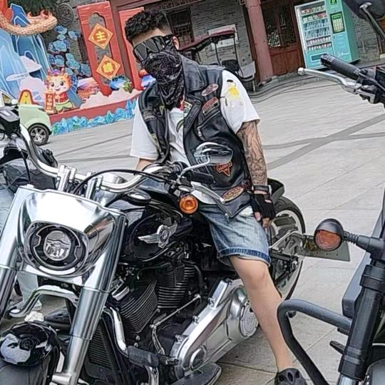 鱼鳍的鲨鱼