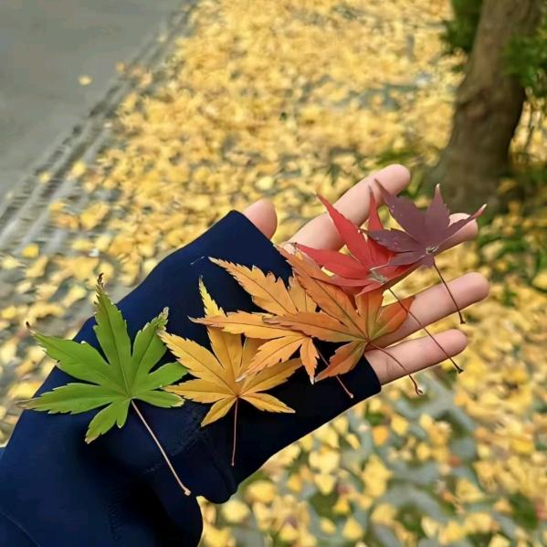 ・♡。　 ・ﾟ♡.。  ♡