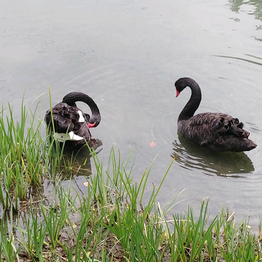 异次元空间的古董商