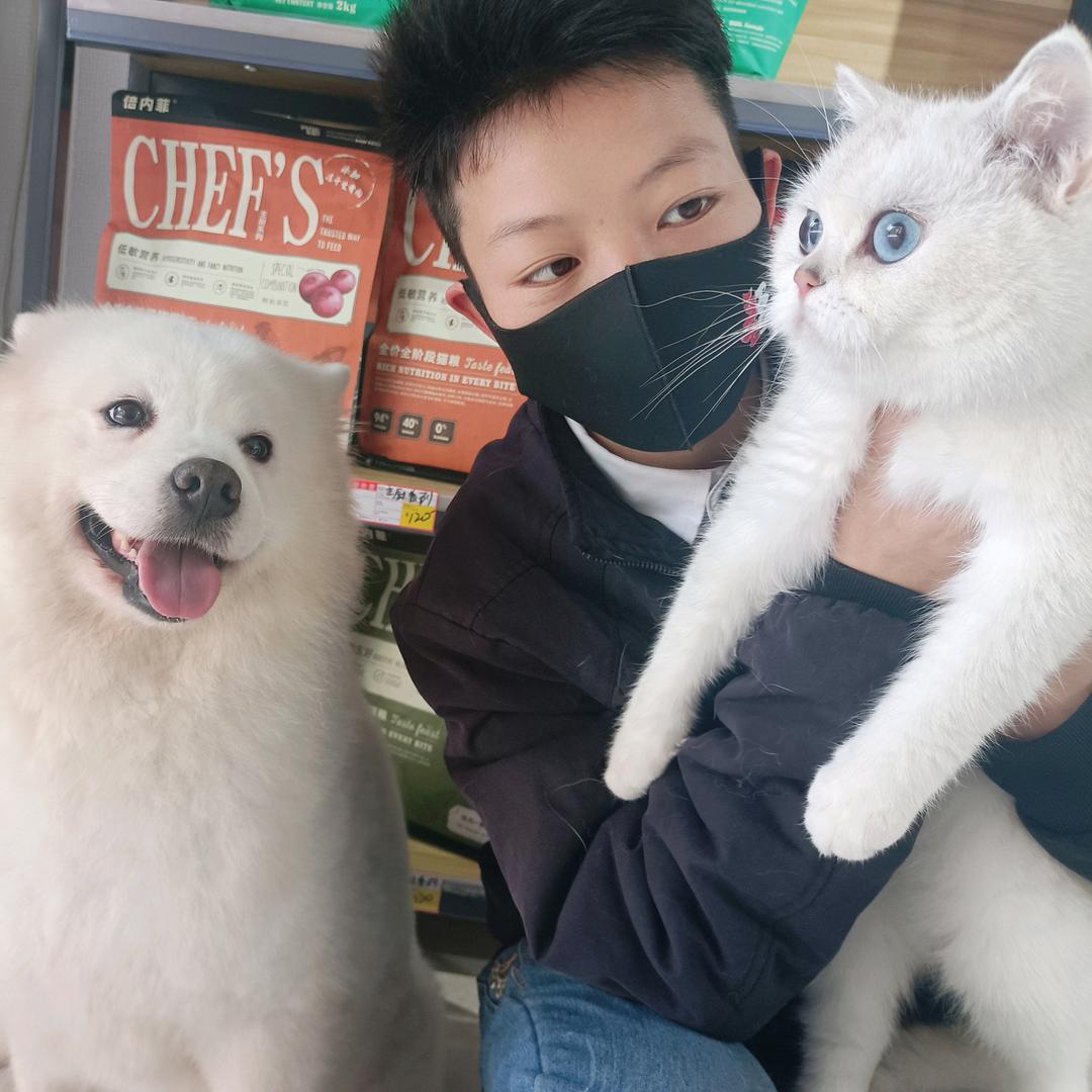憨憨煤气罐