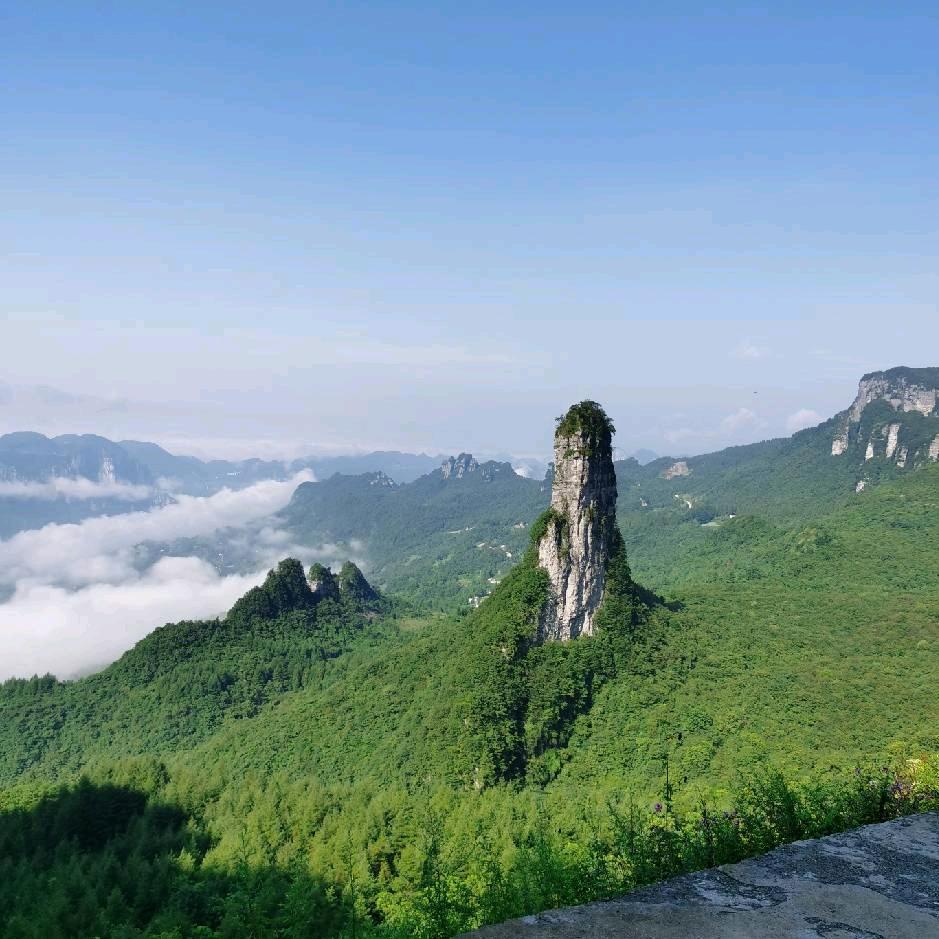 世界西都土家阿哥