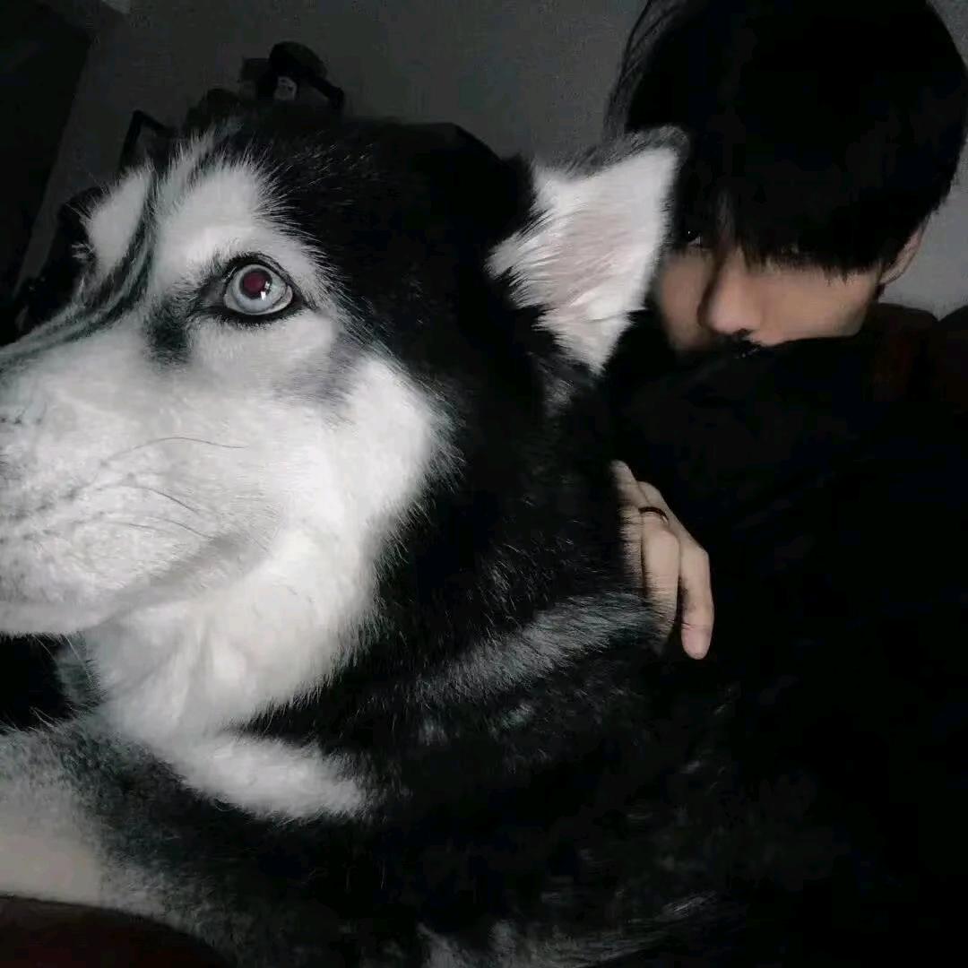 广西第一腼腆_