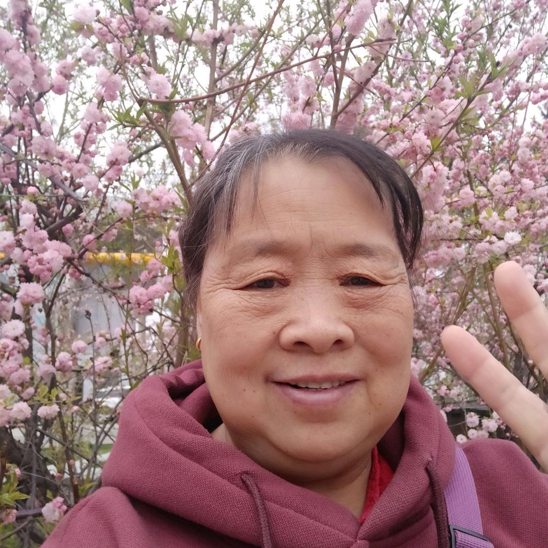 花开富贵许姐好物分享