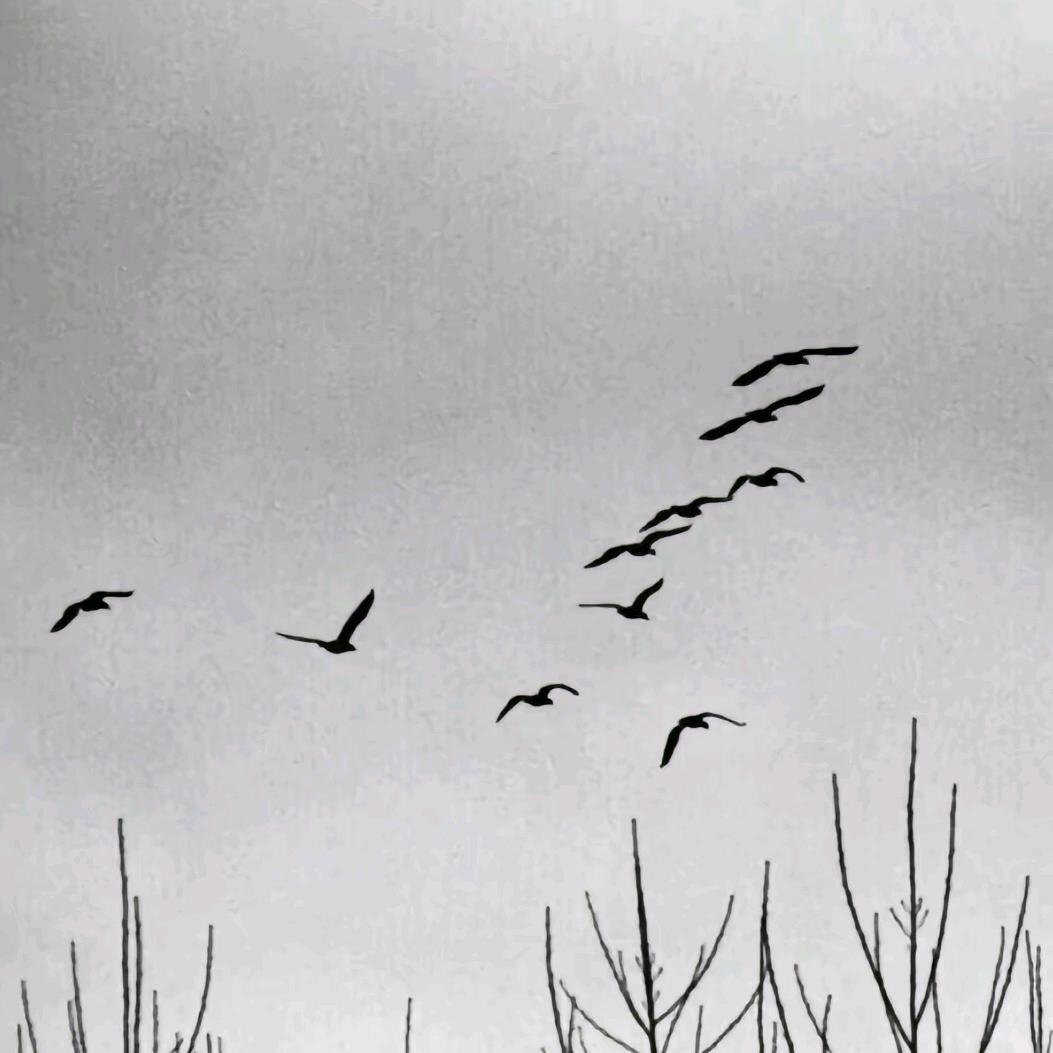 帮我消除黑眼圈