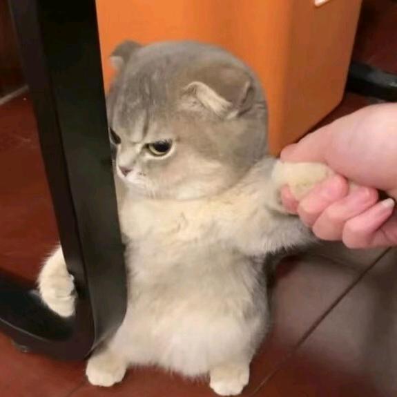 龕