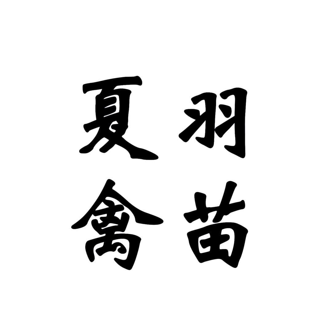 广州夏羽禽苗『鸡苗批发』