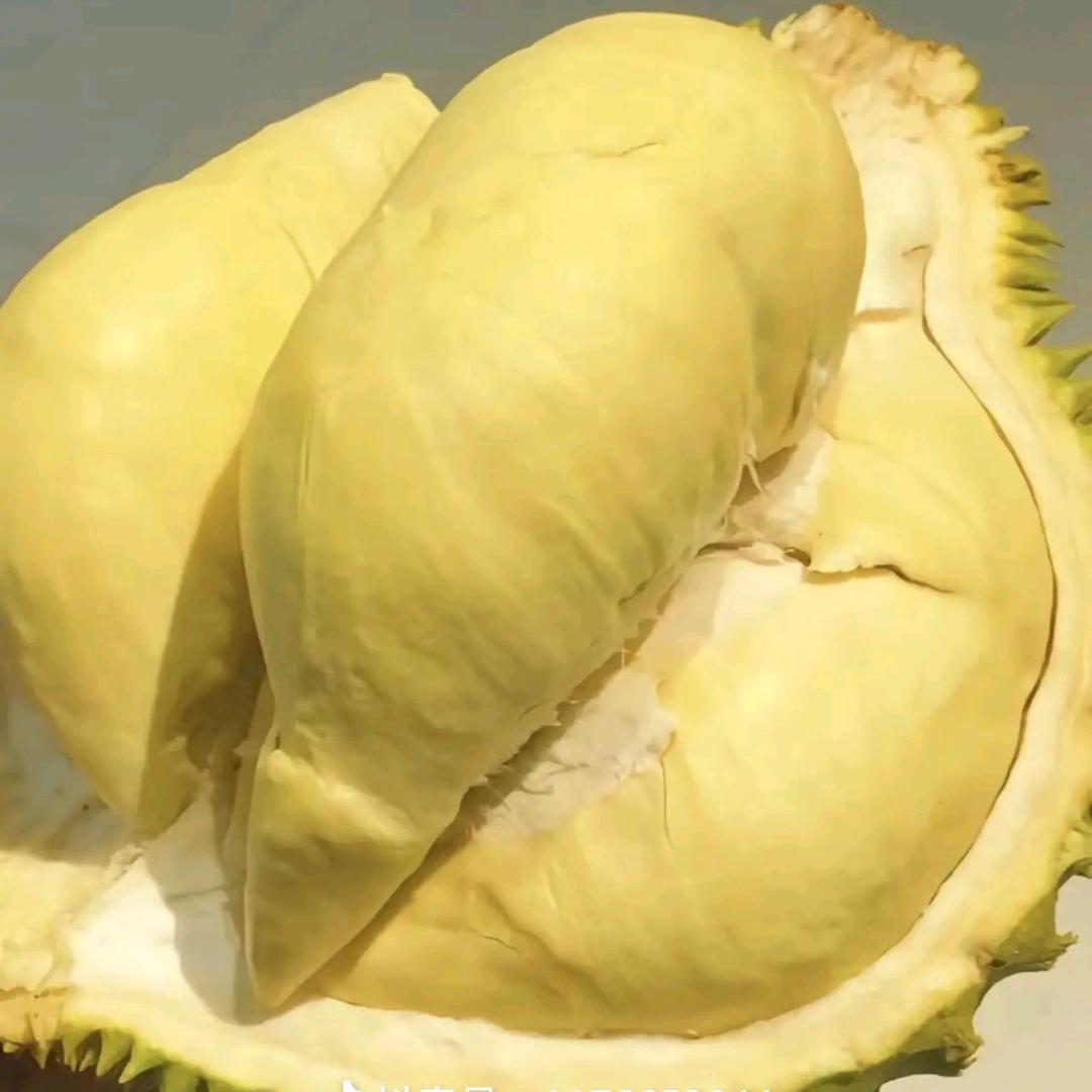 石梁景苑水果摊🍇🍒🍏🍓🍋