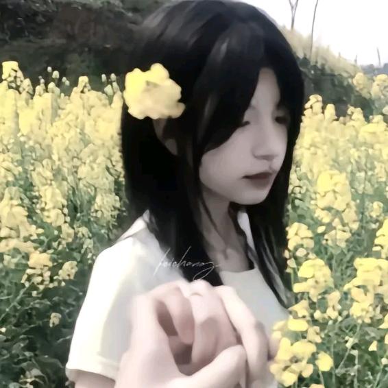 凌晨5.20分aaa.