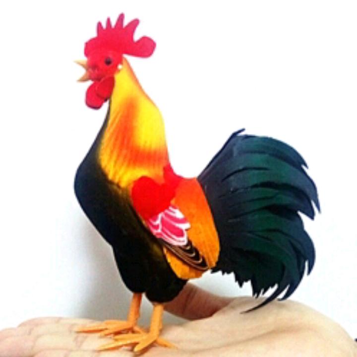 🙏但行好事🙏莫问前程🙏