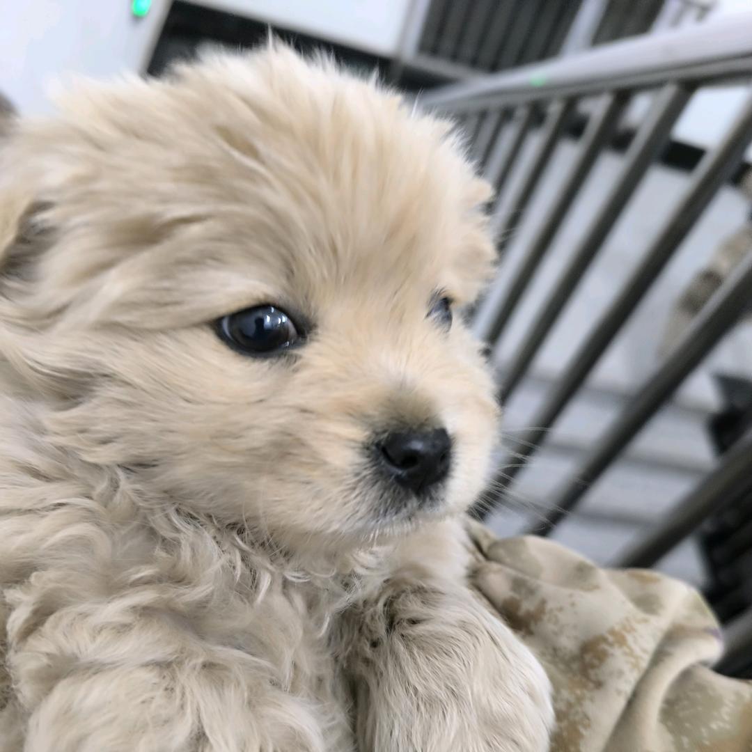 卧推不到100不改名