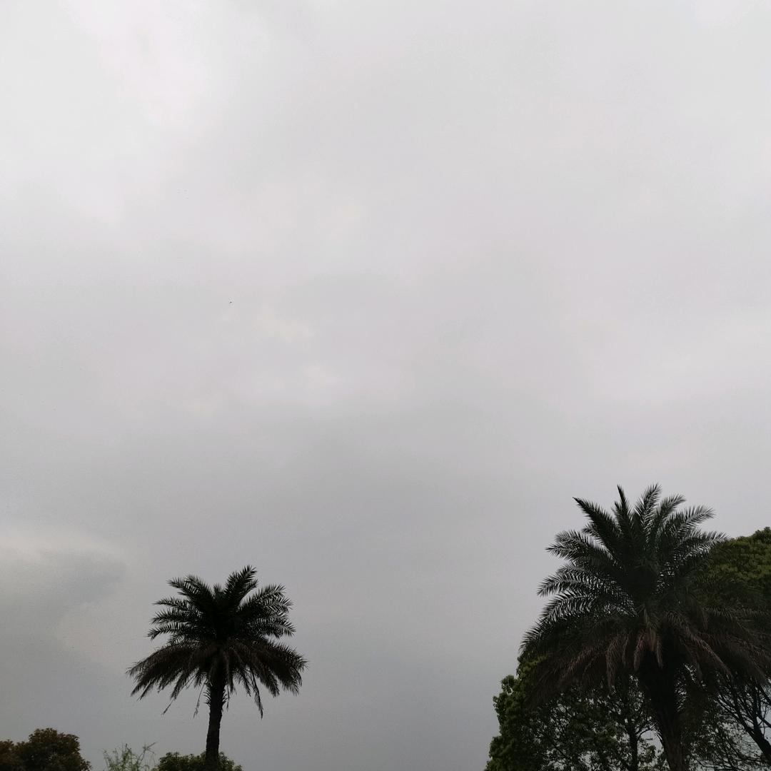 平淡生活😊😊😊