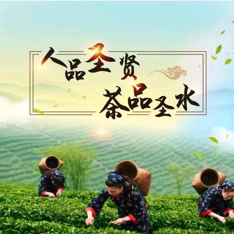 聖水山茶小段