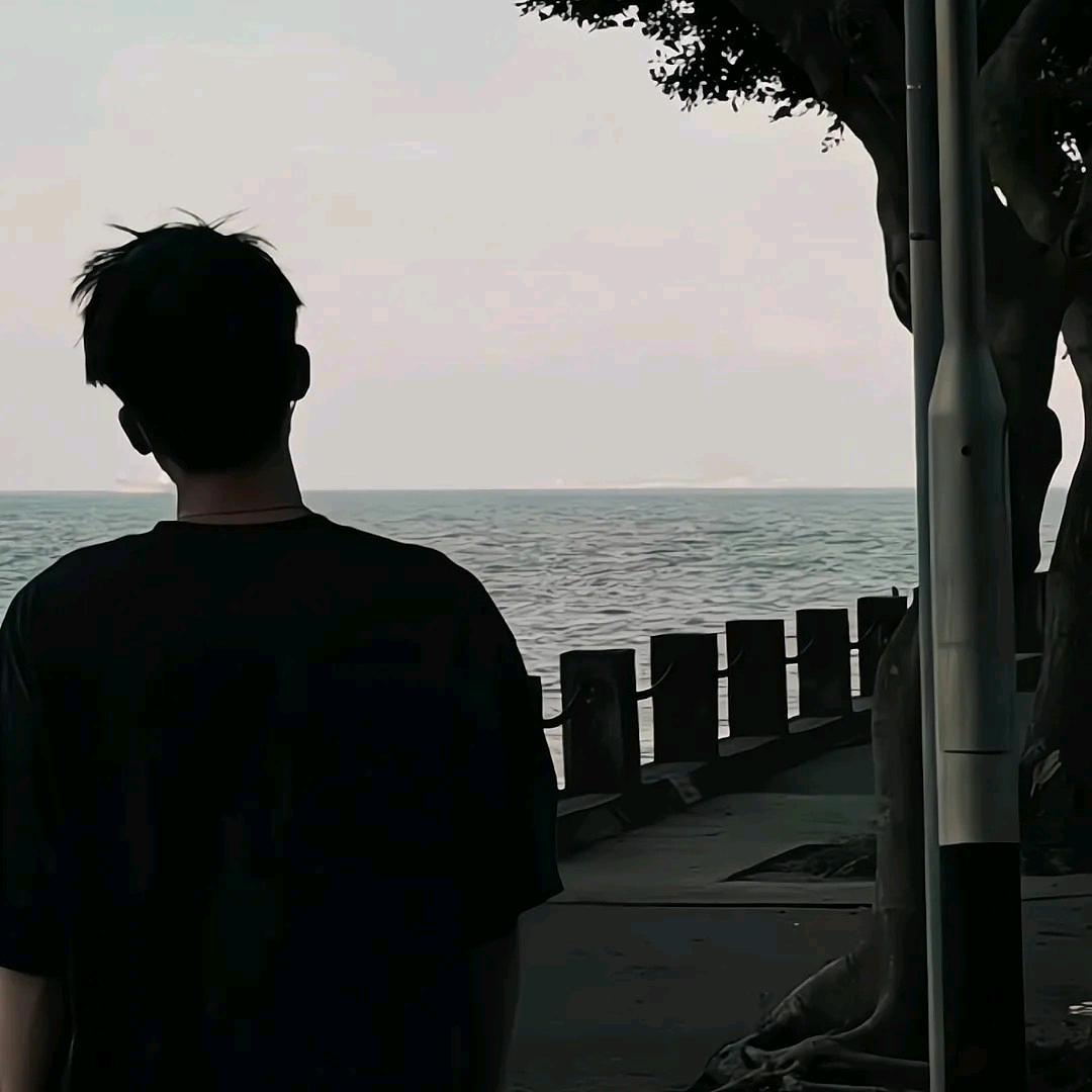 F匹诺曹