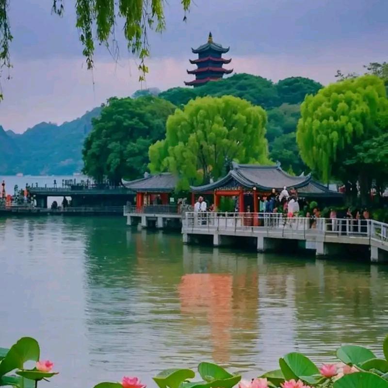 一束阳光。