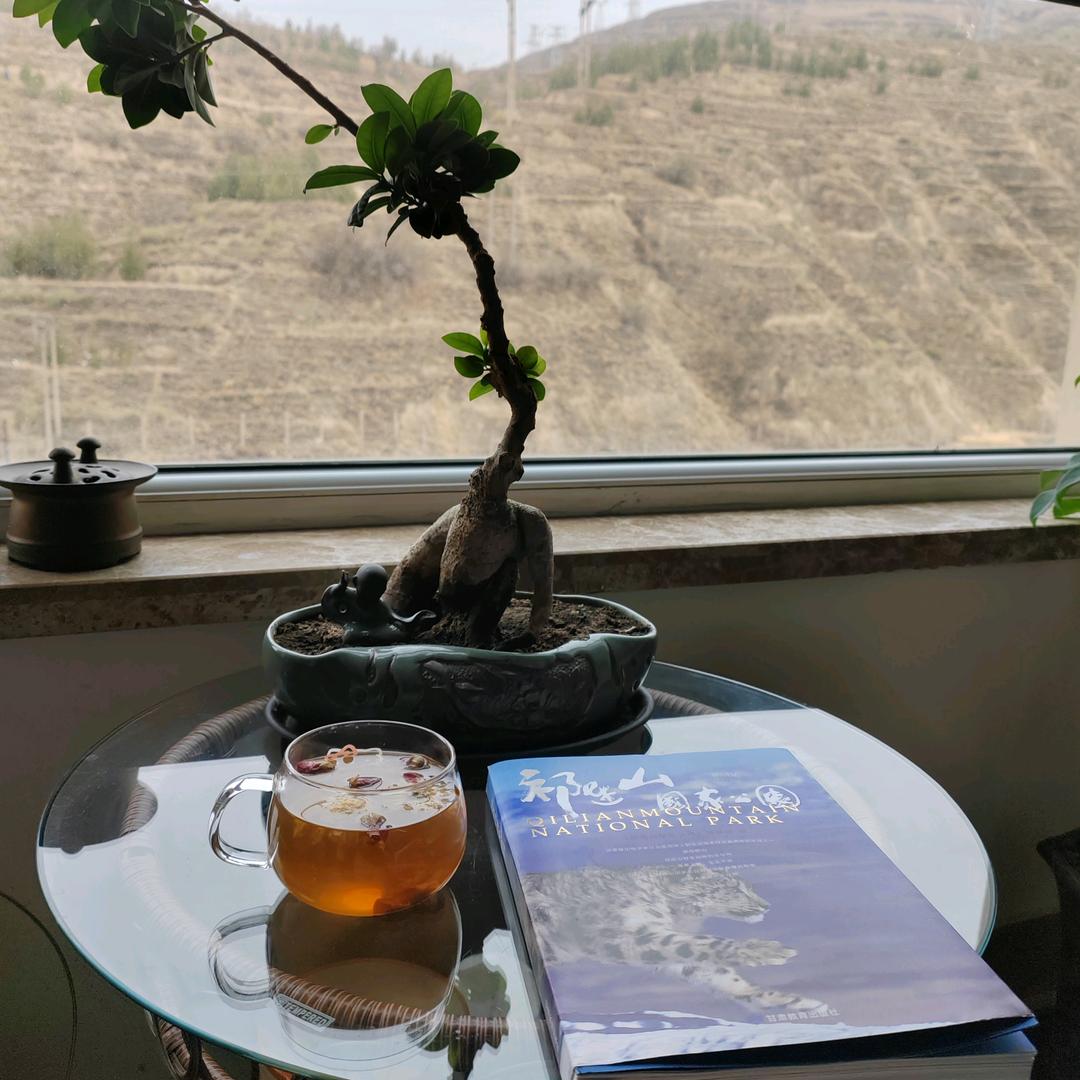 蒲公英读书
