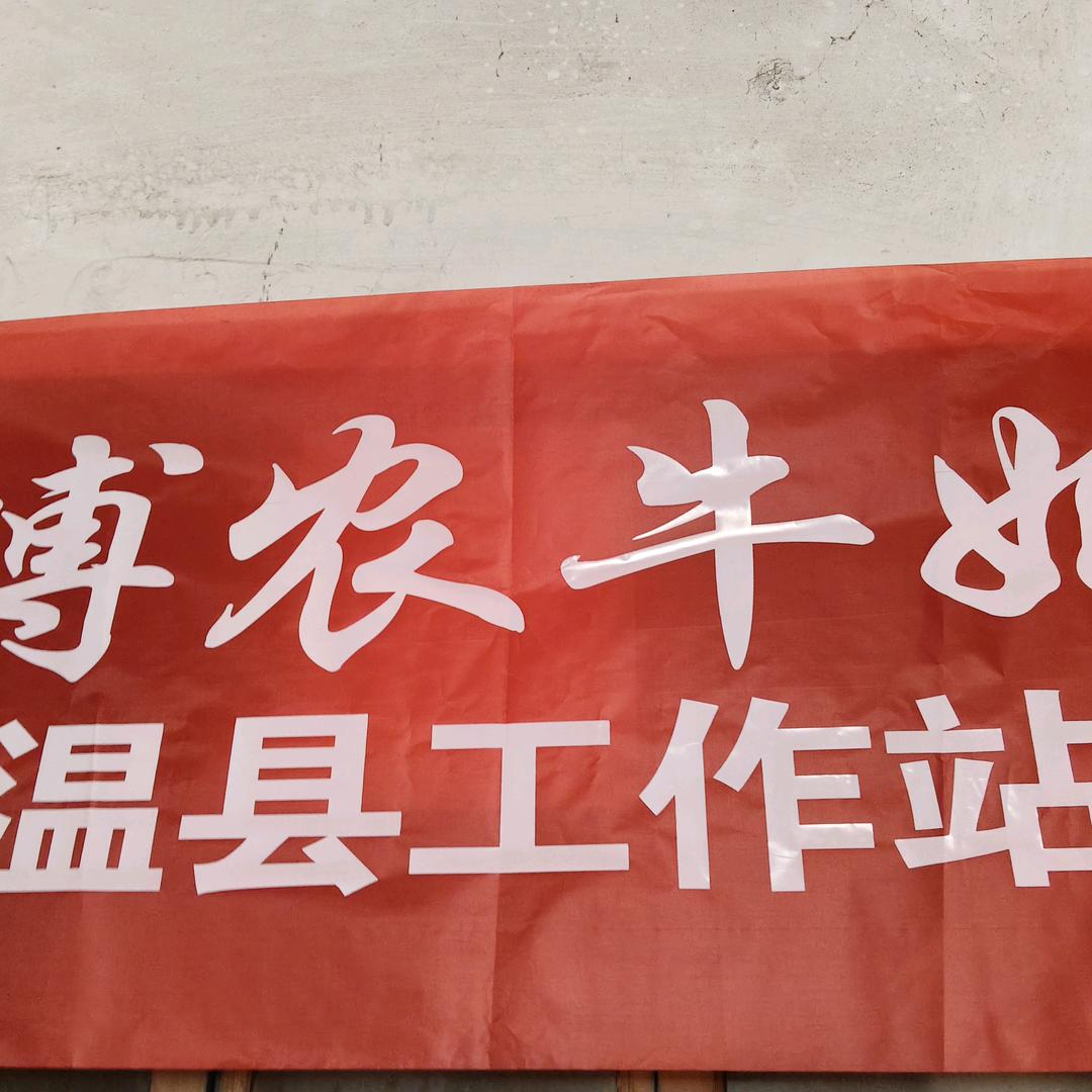 博农牛奶（温县店）