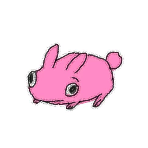 陪跑大王