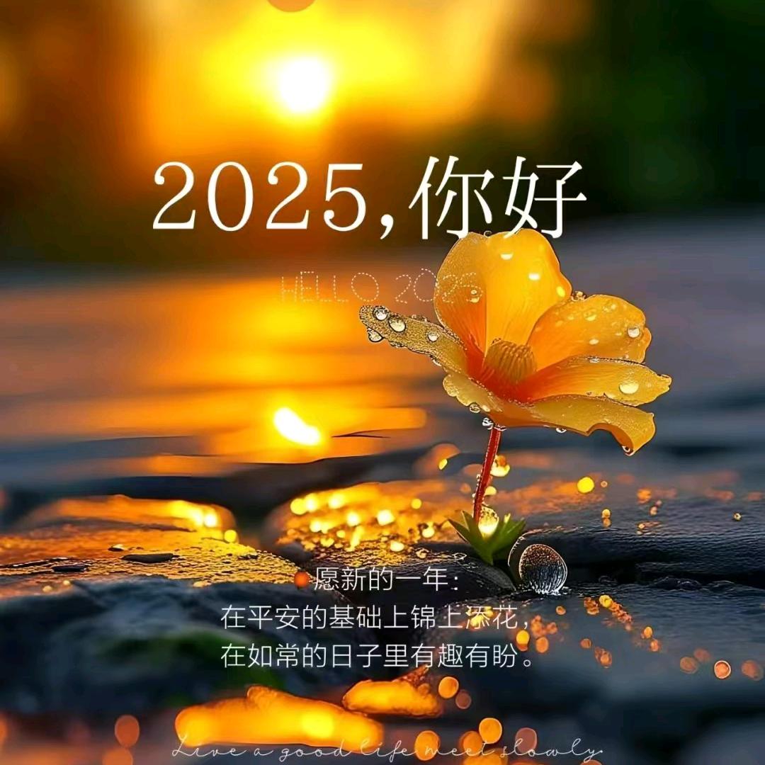 小凤