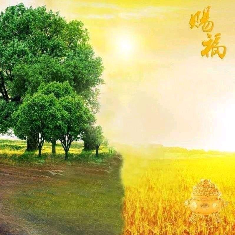 🍎礼尚王来🍎