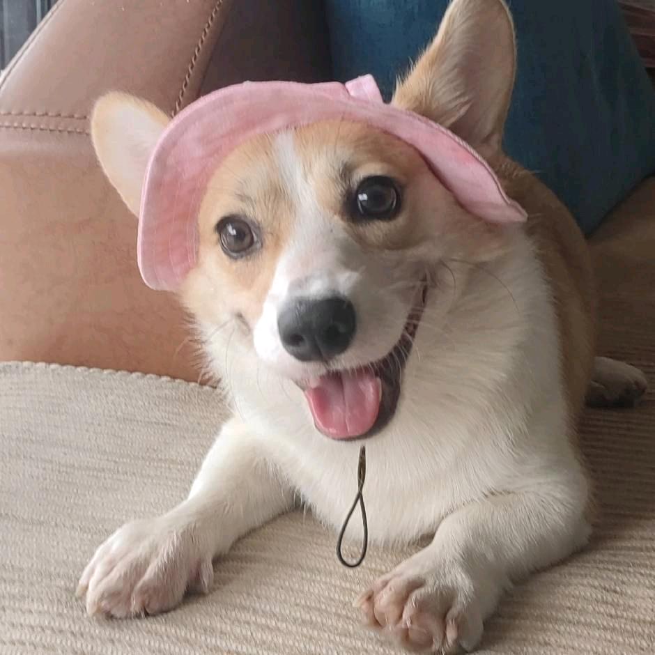 李团团&刘咖啡的生活日记