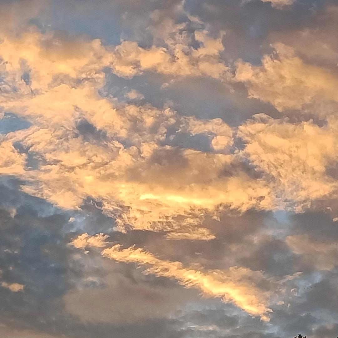 拥抱月亮的太阳☀