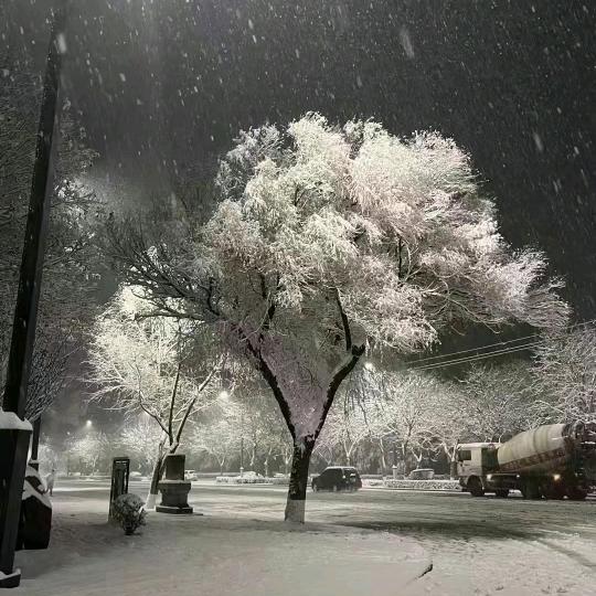 升学规划-李老师