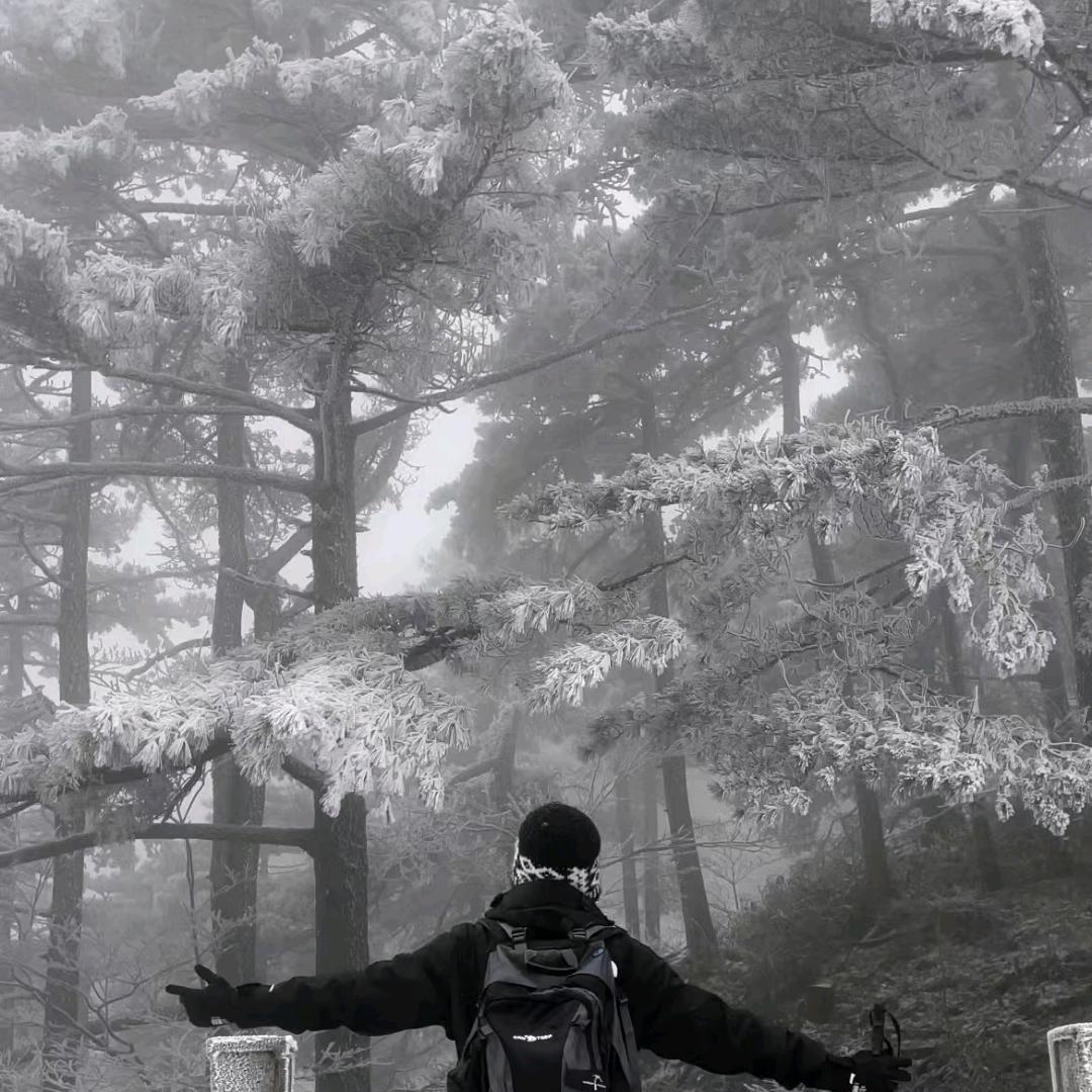 云亦云