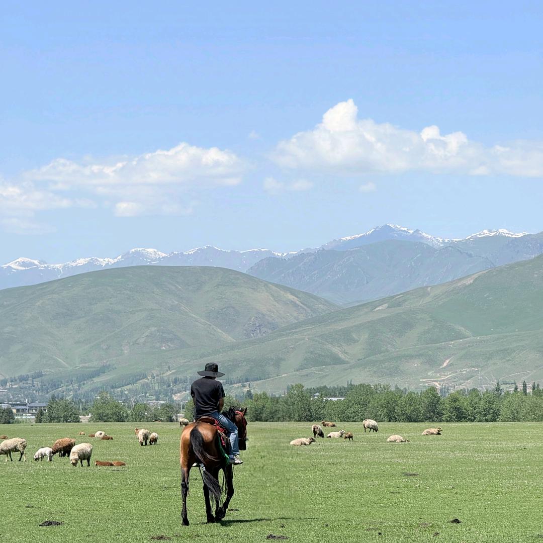 拉格朗日的大徒弟