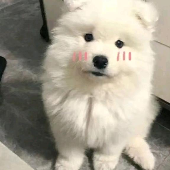 云云