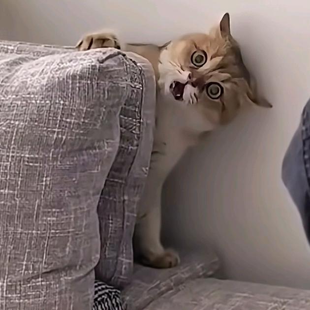 识于陌生-止于陌生