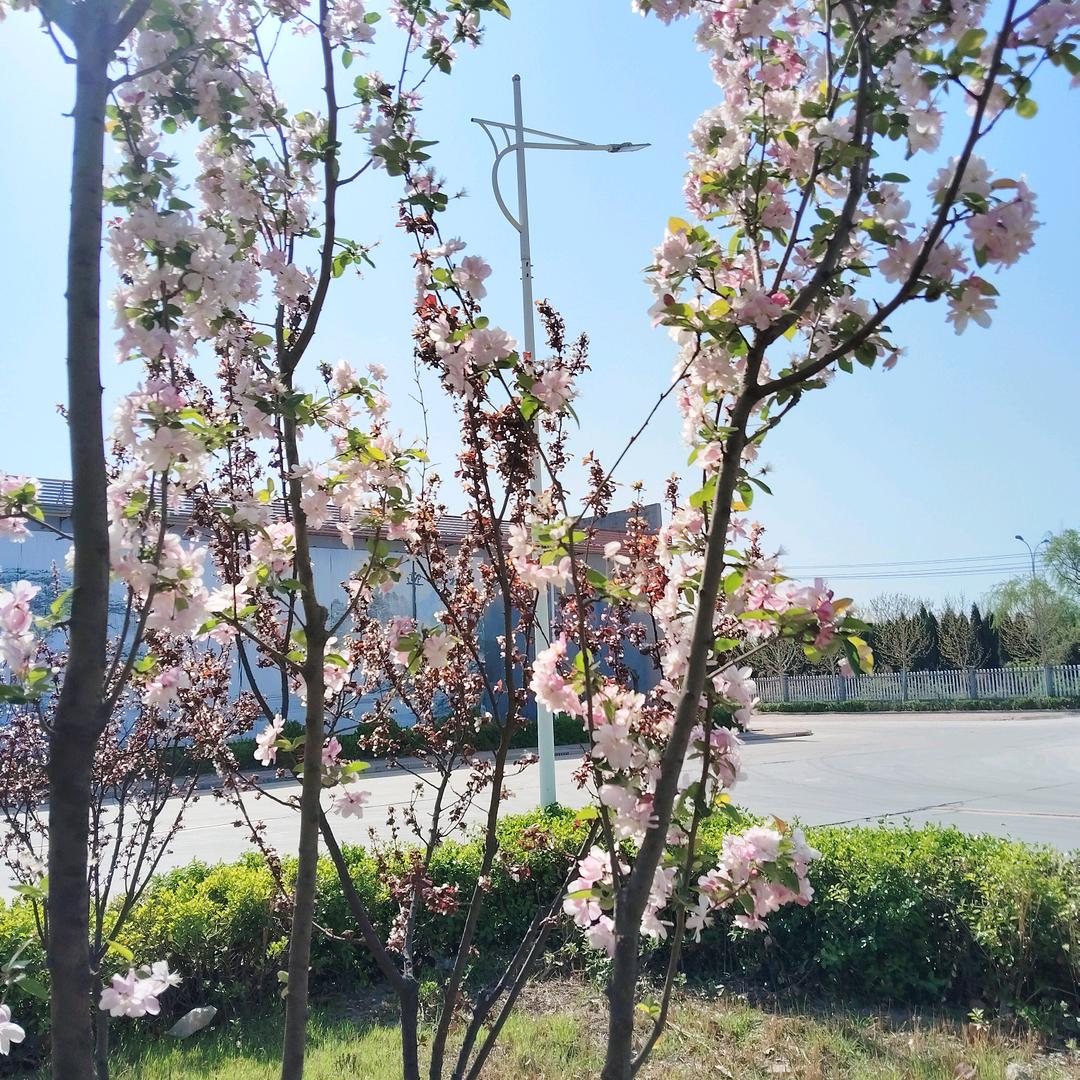 刘卫银