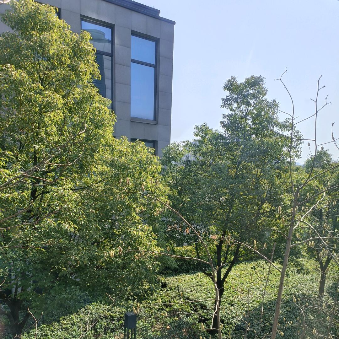 派力特精选专卖店