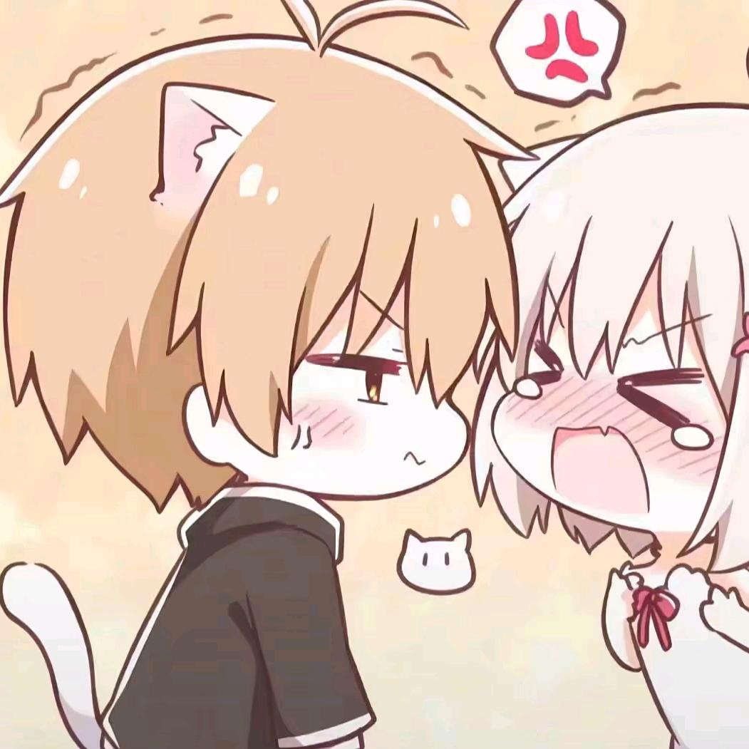 糖果猫