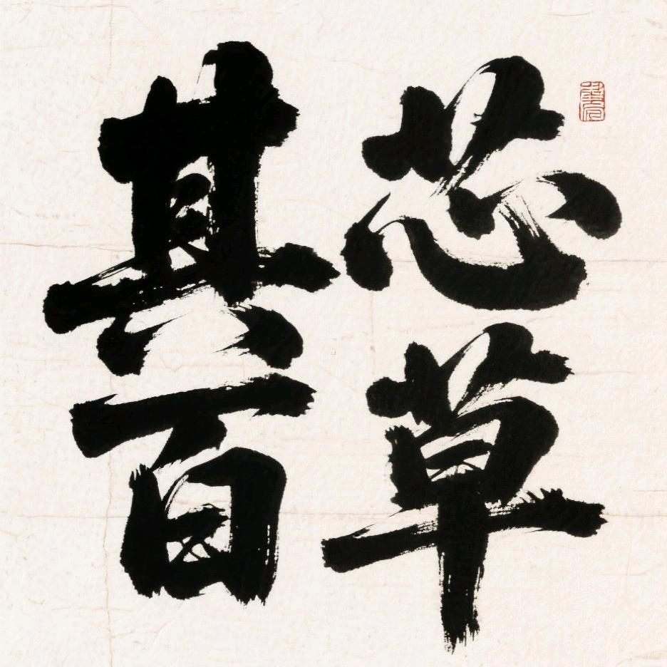 其芯百草企业店