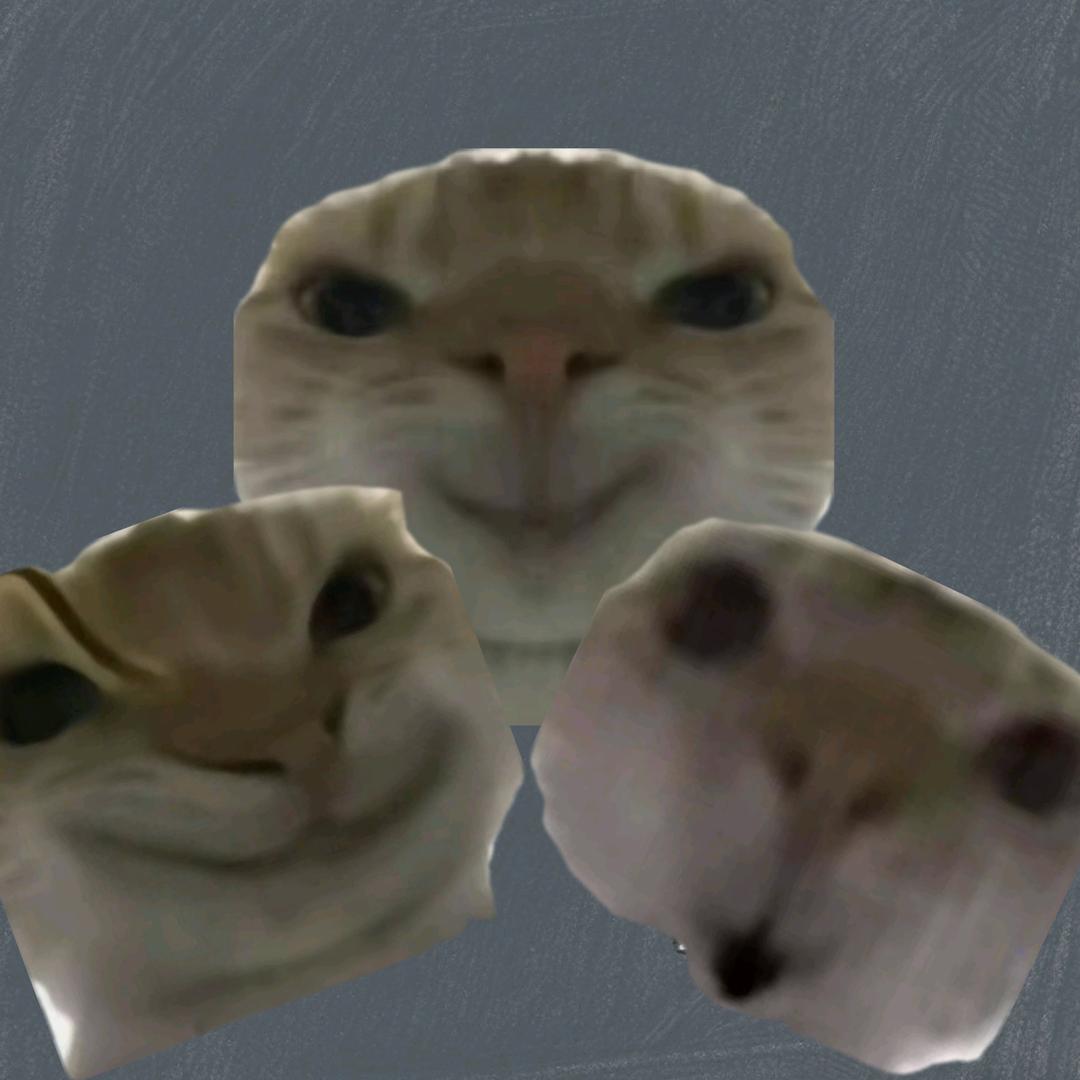 三只鼠鼠的猛攻梦