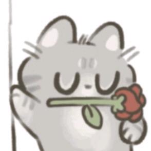 ZZZZ