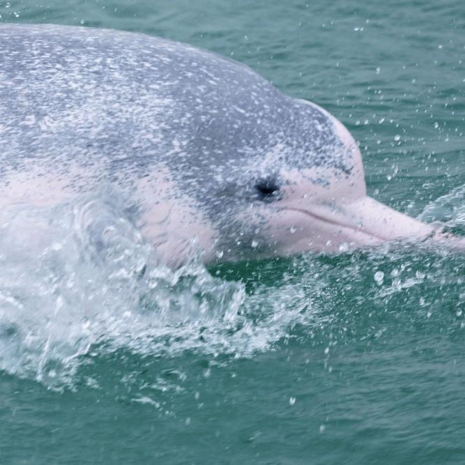 小个子（無為&無鼡）