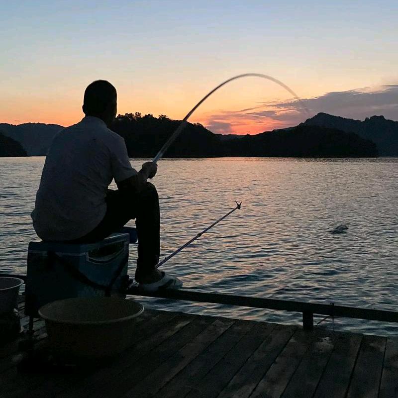 🎣🎣竿竿顺